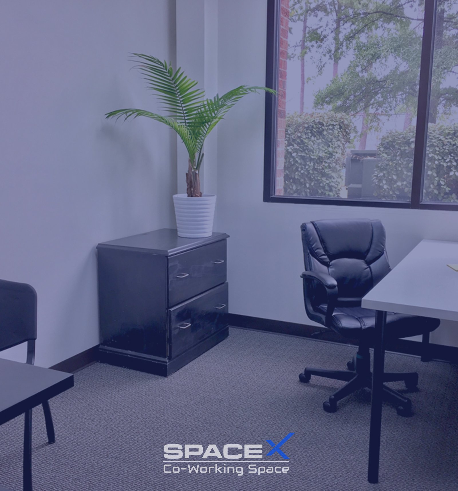Executive-Rooms
